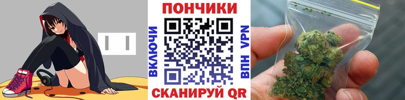 ГАШ Моздок