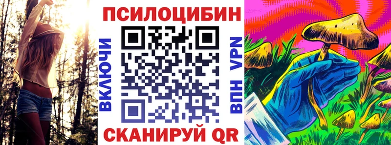 закладка  Моздок  Галлюциногенные грибы GOLDEN TEACHER 