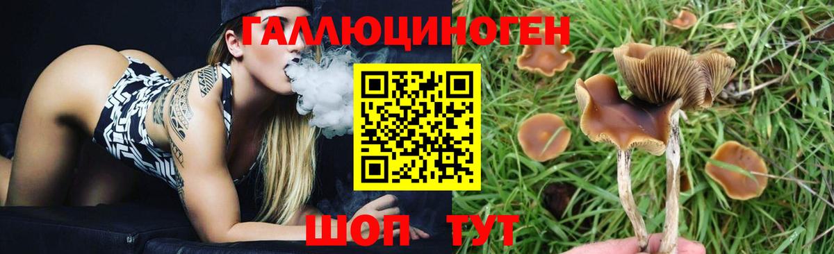 Псилоцибиновые грибы Psilocybine cubensis  Псилоцибиновые грибы ЛСД  Вход с VPN  Моздок 