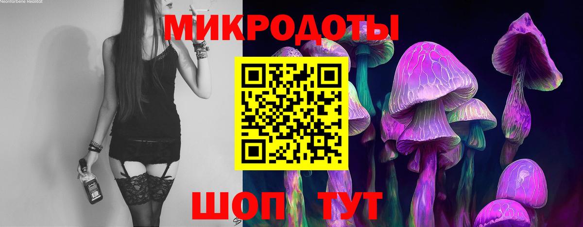 Галлюциногенные грибы MAGIC MUSHROOMS Моздок